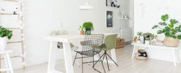 Stek Magazine: Groen op eigen wijze