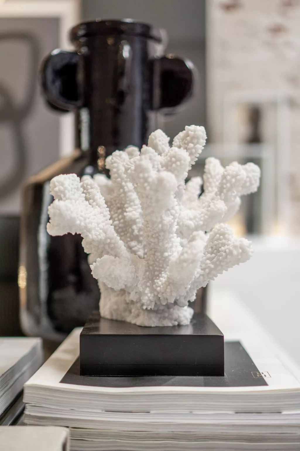 Detailfoto van wit koraal met een zwarte voer op een tafel woontijdschriften. 